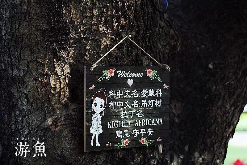 智慧赋能,跨界融合——2024中国社区商业生态博览会即将开幕!