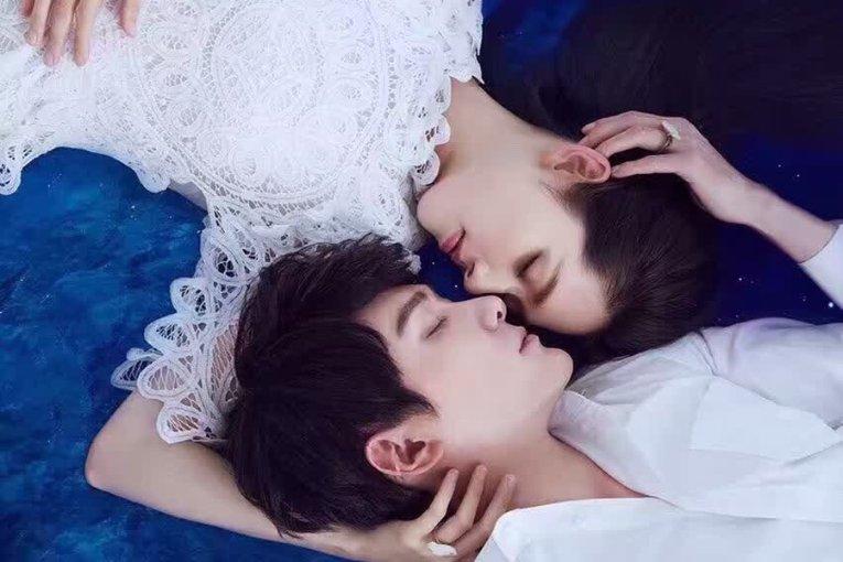 解救野生狐狸